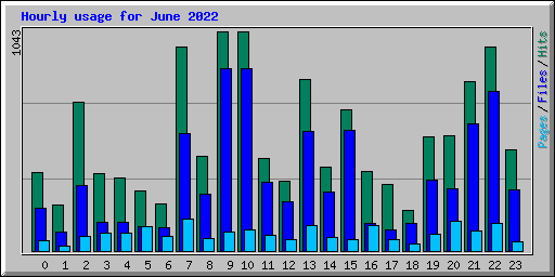 Hourly usage for June 2022