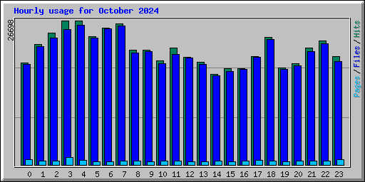 Hourly usage for October 2024