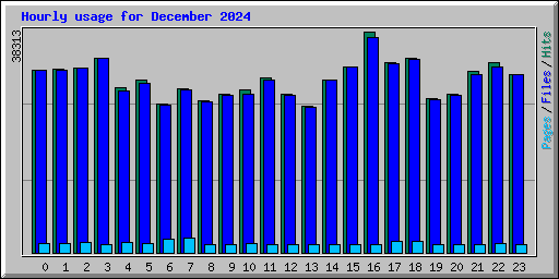 Hourly usage for December 2024