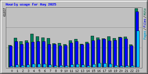 Hourly usage for May 2025