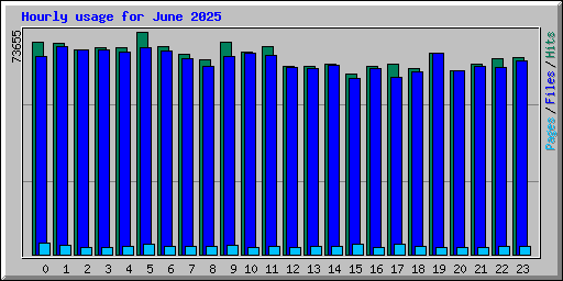 Hourly usage for June 2025