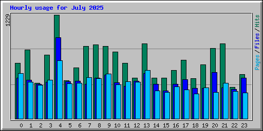 Hourly usage for July 2025