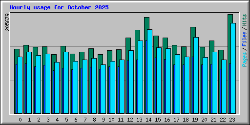 Hourly usage for October 2025