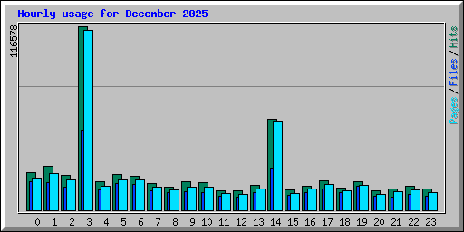 Hourly usage for December 2025