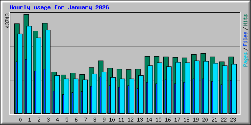 Hourly usage for January 2026