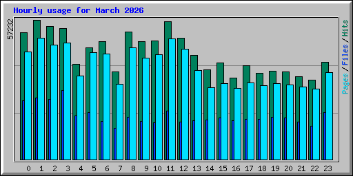 Hourly usage for March 2026